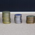 Who invests in a fund?